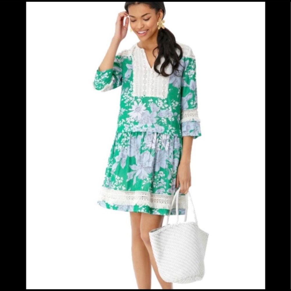 Tuckernuck green floral dress